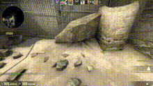 noflash.gif